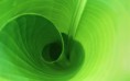/album/galeria/sfondo-verde-1280x800-jpg/